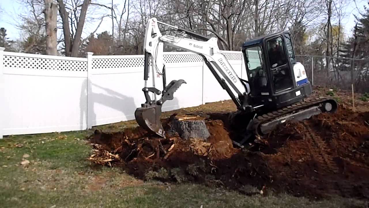 Stump Removal and Grinding Services in Taunton, Rehoboth, Dighton, Norton, Seekonk, Middleborough, Raynham, Berkley, Mansfield MA